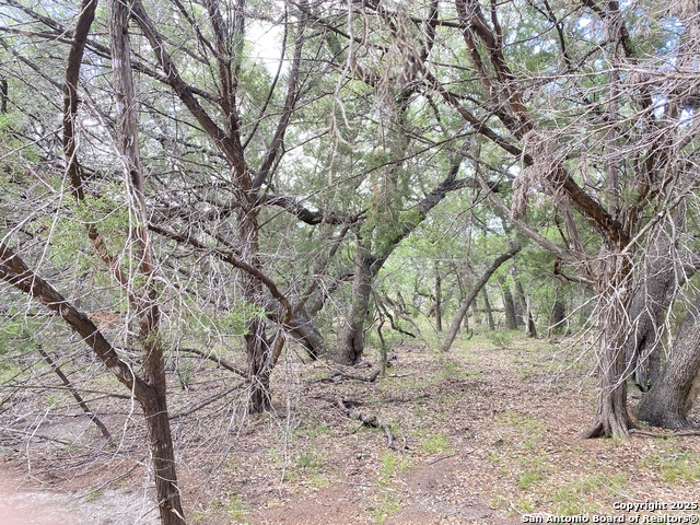 430 Pendley, Leakey, Texas image 28