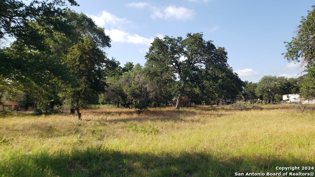 458 County Road 6868, Natalia, Texas image 1