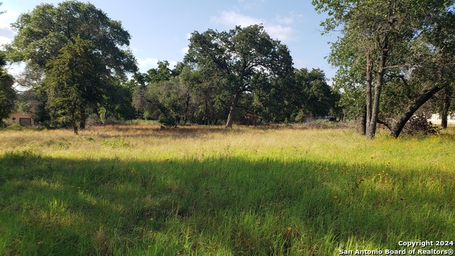 458 County Road 6868, Natalia, Texas image 2