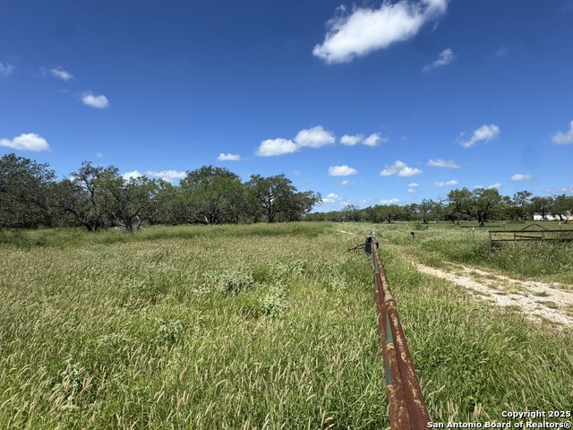 4405 St Hwy 173, Bigfoot, Texas image 1
