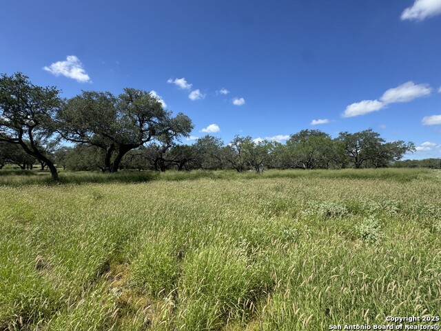 4405 St Hwy 173, Bigfoot, Texas image 3
