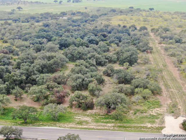 4405 St Hwy 173, Bigfoot, Texas image 4