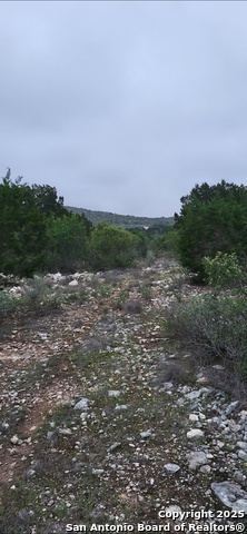 100 County Road 407, Uvalde, Texas image 1