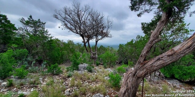 3895 County Road 389, Camp Wood, Texas image 11
