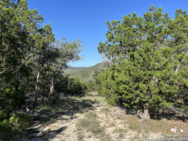 3895 County Road 389, Camp Wood, Texas image 5