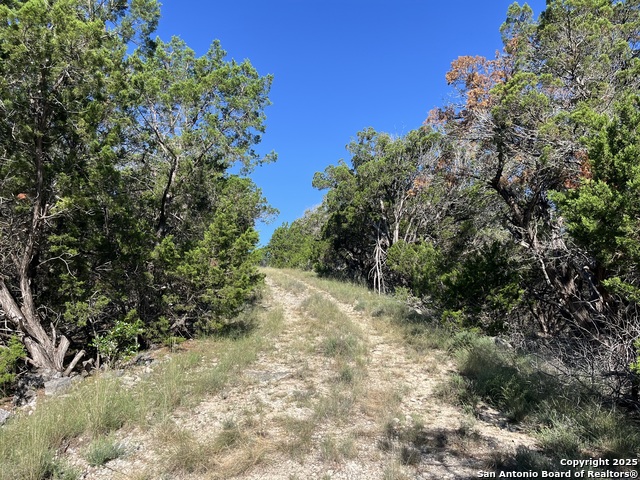 3895 County Road 389, Camp Wood, Texas image 6