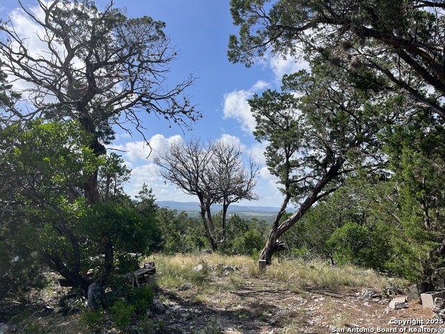 3895 County Road 389, Camp Wood, Texas image 9