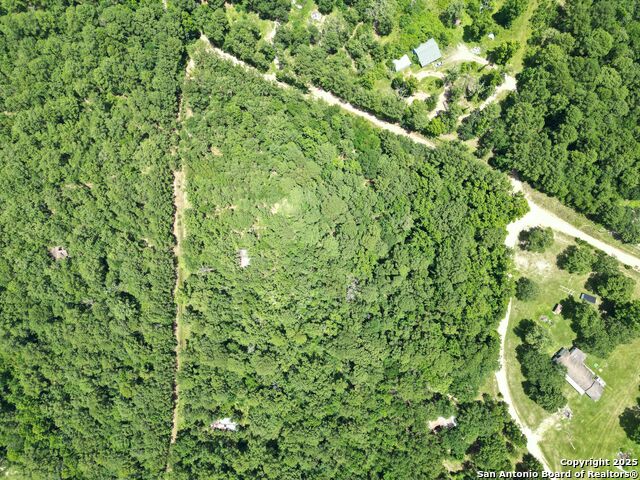 Buckeye Lane, Trinity, Texas image 15