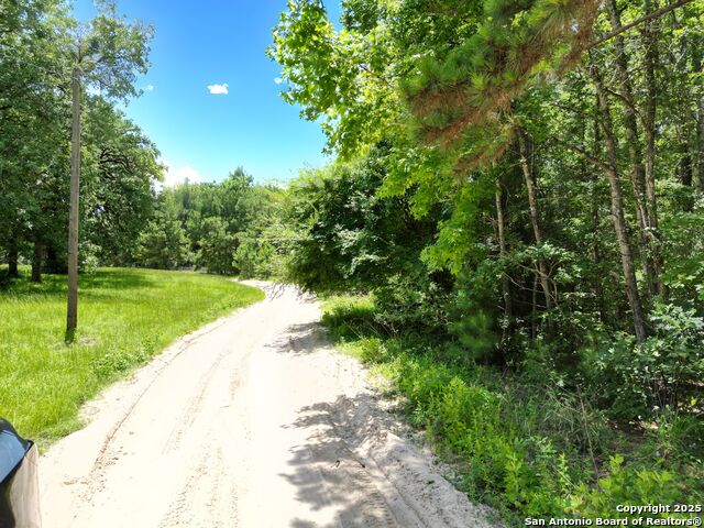 Buckeye Lane, Trinity, Texas image 20