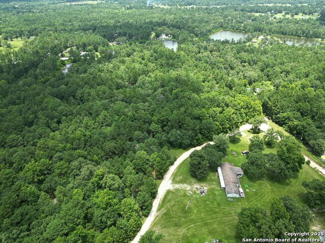 Buckeye Lane, Trinity, Texas image 21
