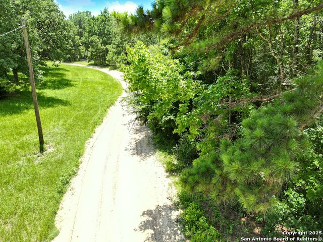 Buckeye Lane, Trinity, Texas image 22