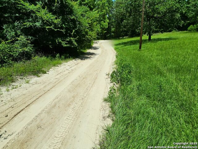 Buckeye Lane, Trinity, Texas image 24