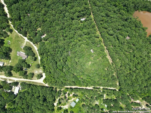Buckeye Lane, Trinity, Texas image 8