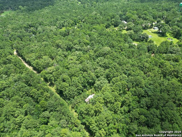 Buckeye Lane, Trinity, Texas image 9