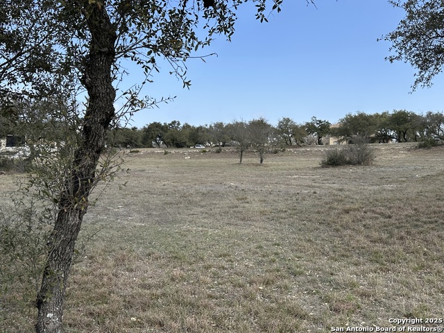 205 Hidden Hills Cove, SPICEWOOD, Texas image 19