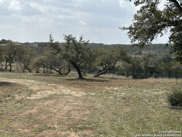 205 Hidden Hills Cove, SPICEWOOD, Texas image 2