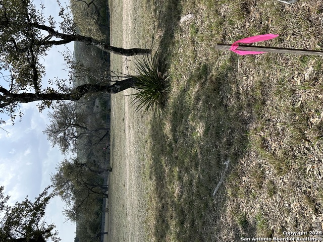 205 Hidden Hills Cove, SPICEWOOD, Texas image 21