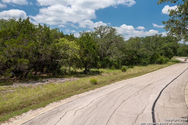 LOT 387 Pr 1742, Mico, Texas image 6