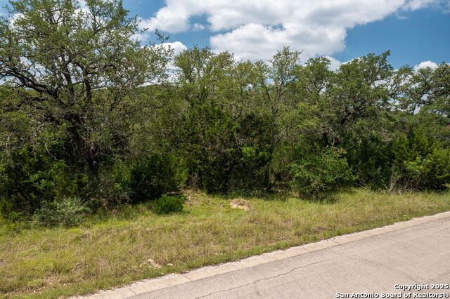 LOT 387 Pr 1742, Mico, Texas image 7