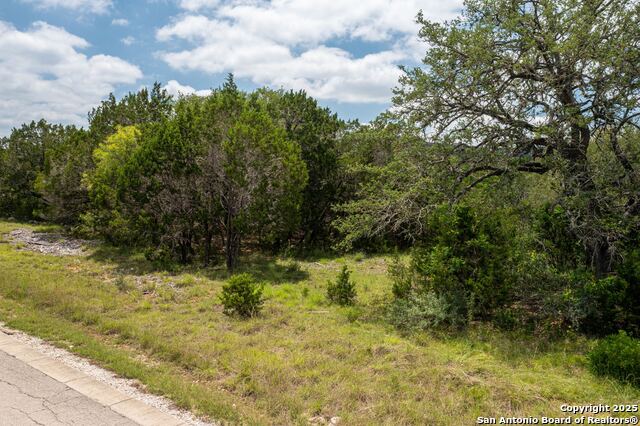 LOT 387 Pr 1742, Mico, Texas image 9