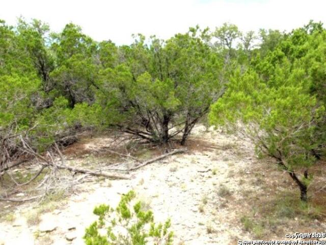 LOT 55 Lakeridge Loop, Lakehills, Texas image 10