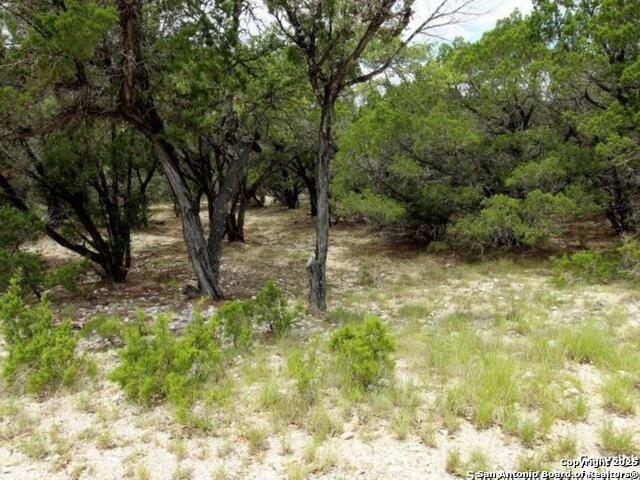 LOT 55 Lakeridge Loop, Lakehills, Texas image 5