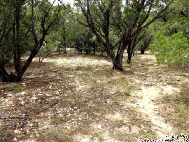 LOT 55 Lakeridge Loop, Lakehills, Texas image 6