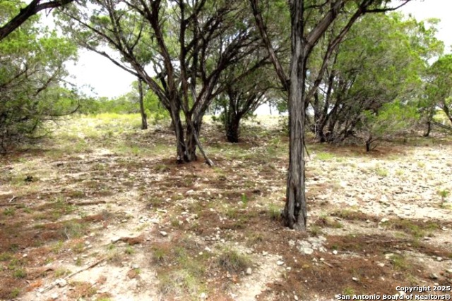 LOT 55 Lakeridge Loop, Lakehills, Texas image 8