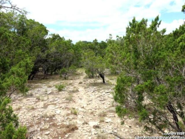 LOT 55 Lakeridge Loop, Lakehills, Texas image 9