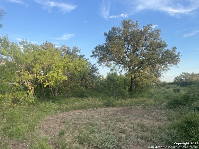 TBD County Road 445, Hondo, Texas image 1