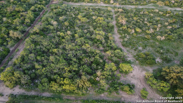 TBD County Road 445, Hondo, Texas image 10