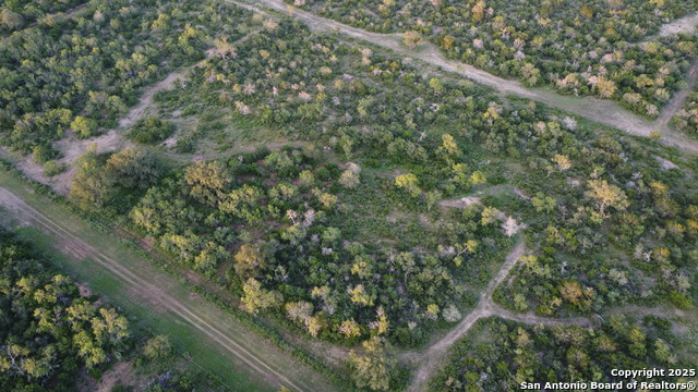 TBD County Road 445, Hondo, Texas image 14