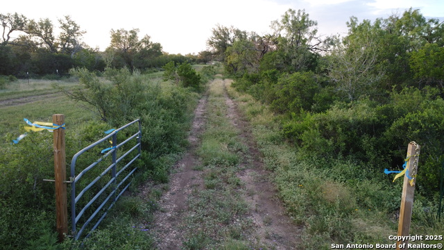 TBD County Road 445, Hondo, Texas image 15