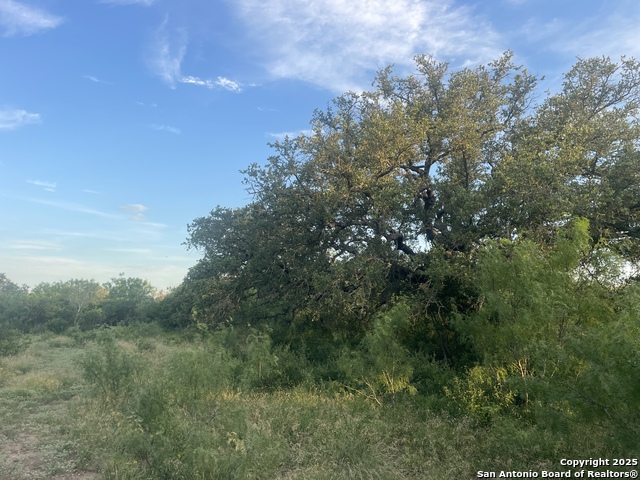 TBD County Road 445, Hondo, Texas image 16