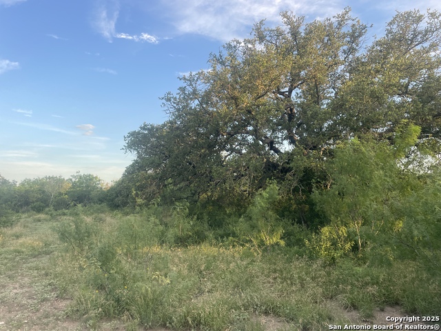 TBD County Road 445, Hondo, Texas image 17