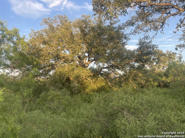 TBD County Road 445, Hondo, Texas image 18