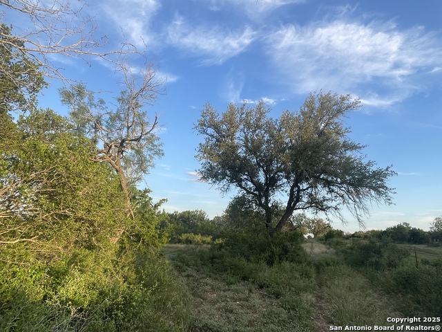 TBD County Road 445, Hondo, Texas image 19