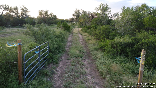 TBD County Road 445, Hondo, Texas image 2