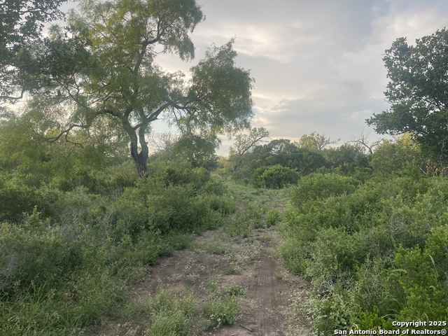 TBD County Road 445, Hondo, Texas image 20