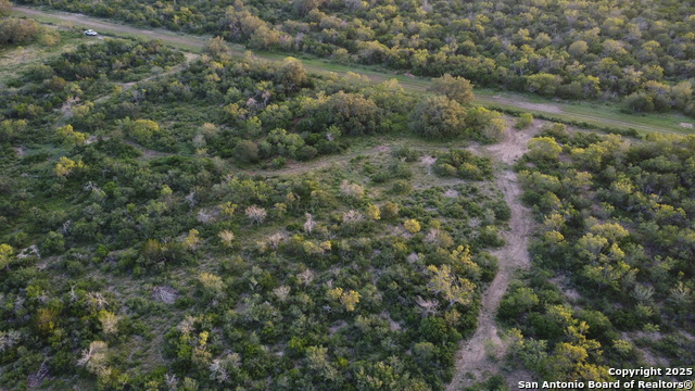 TBD County Road 445, Hondo, Texas image 8