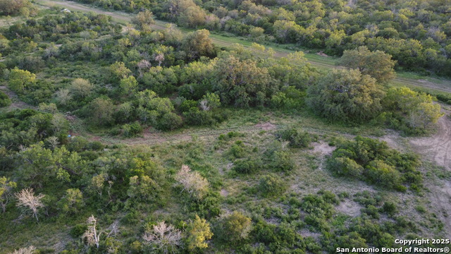 TBD County Road 445, Hondo, Texas image 9