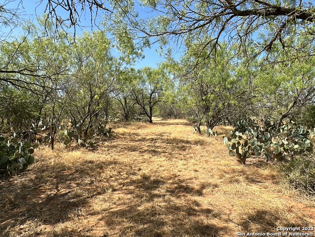 134 Cr 2644, Moore, Texas image 6