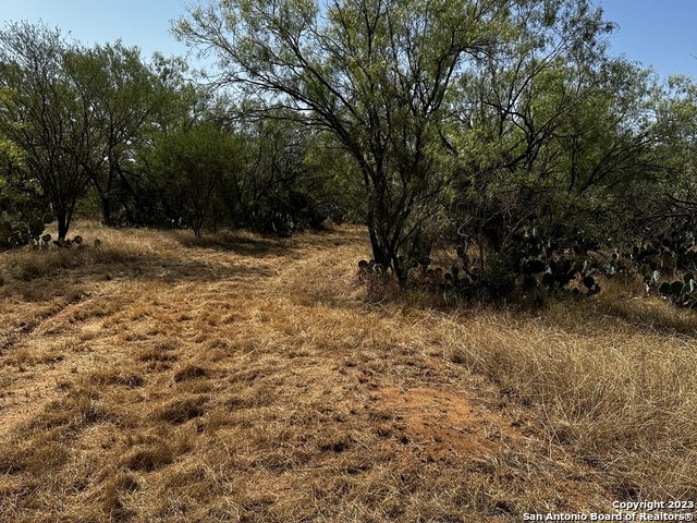 134 Cr 2644, Moore, Texas image 9