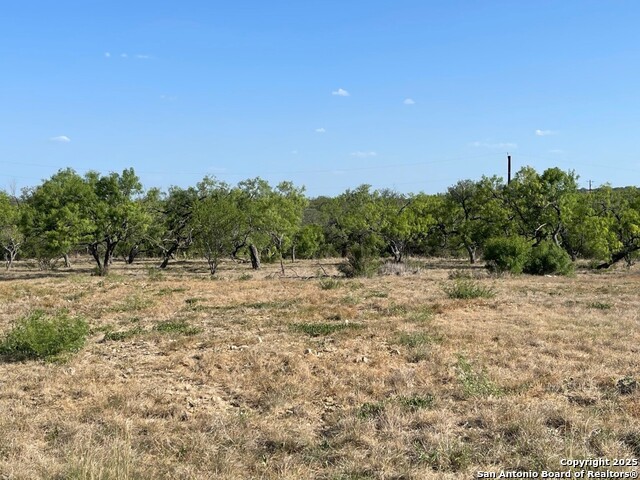 CR 367 LOT 34 County Road 367, Hondo, Texas image 6