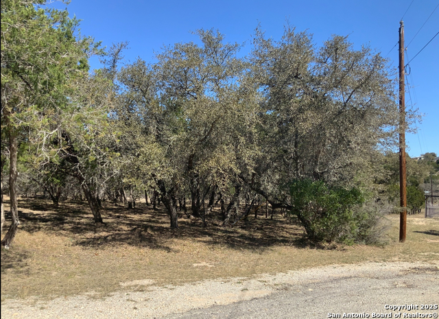LOT #69 Forest Oaks, Lakehills, Texas image 10