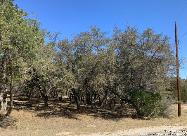 LOT #69 Forest Oaks, Lakehills, Texas image 11