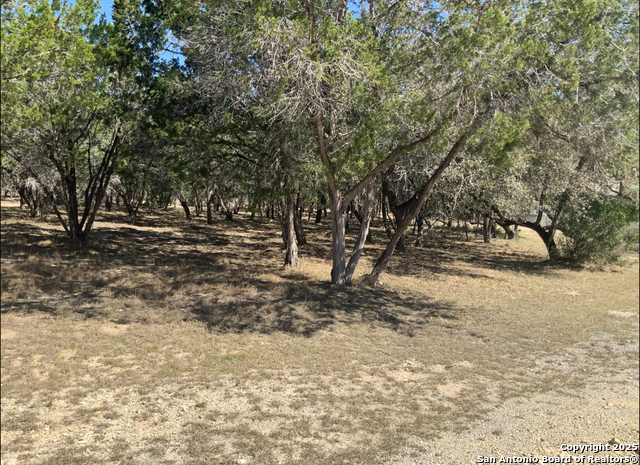LOT #69 Forest Oaks, Lakehills, Texas image 13
