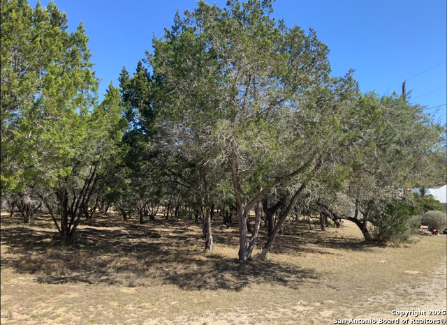 LOT #69 Forest Oaks, Lakehills, Texas image 8