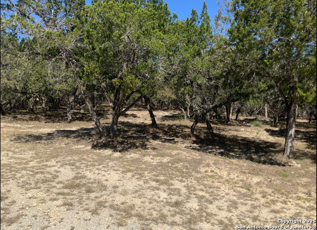 LOT #69 Forest Oaks, Lakehills, Texas image 9