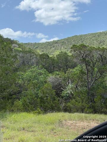 159 Valley Vista, Tarpley, Texas image 1